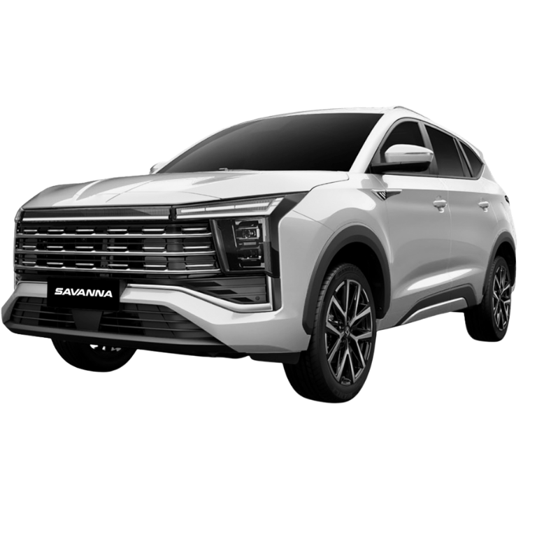 jac savanna gris plomo